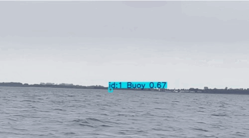 Buoy detection